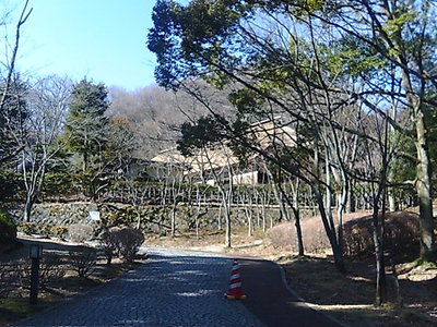 生田緑地の中の道